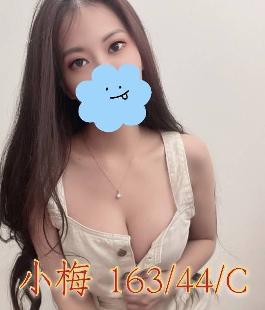 17291496650 彰化外送 小梅 163/44/C-134