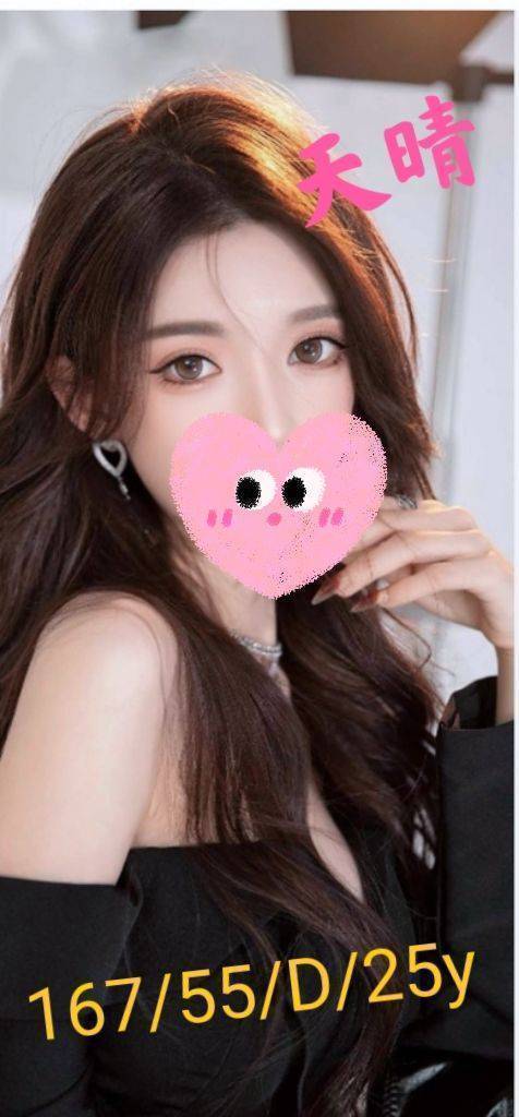 17369348500 嘉義外送 天晴 167/36D/25-153