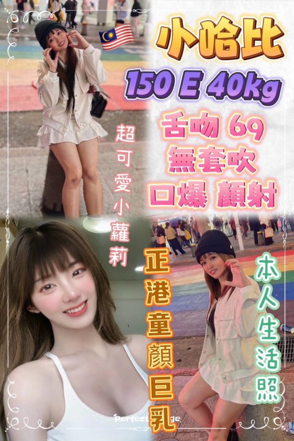 17392628480 台北定點 小哈比  150/E/40kg-219