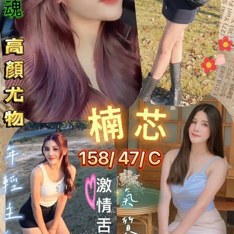 花蓮定點茶 楠芯