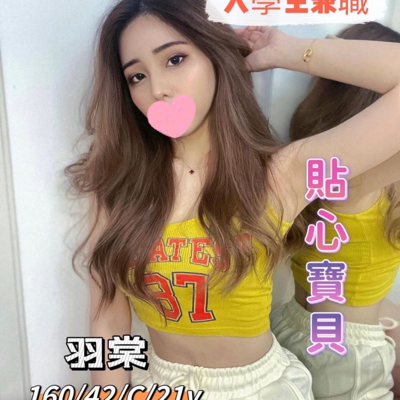 17491870946 台中外送茶 羽棠